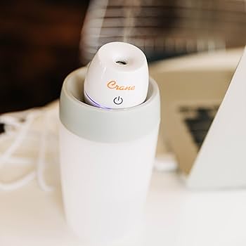 Minmin Crane Mini Portable Humidifier : Amazon.ca: Home